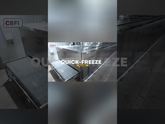 2 ตัน/ชั่วโมง ถังอุโมงค์ รวดเร็ว Freezer